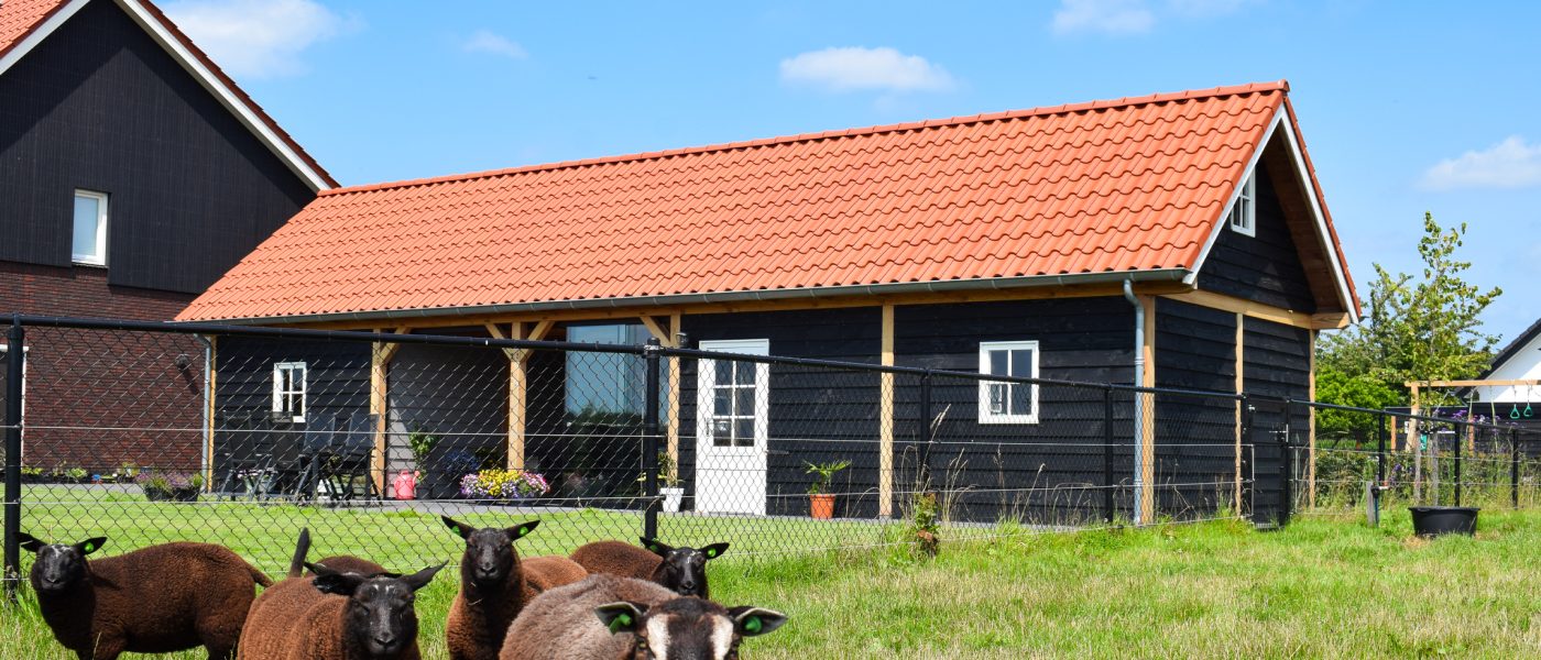 Overkapping met berging - blog header Overkapping met berging - blog header